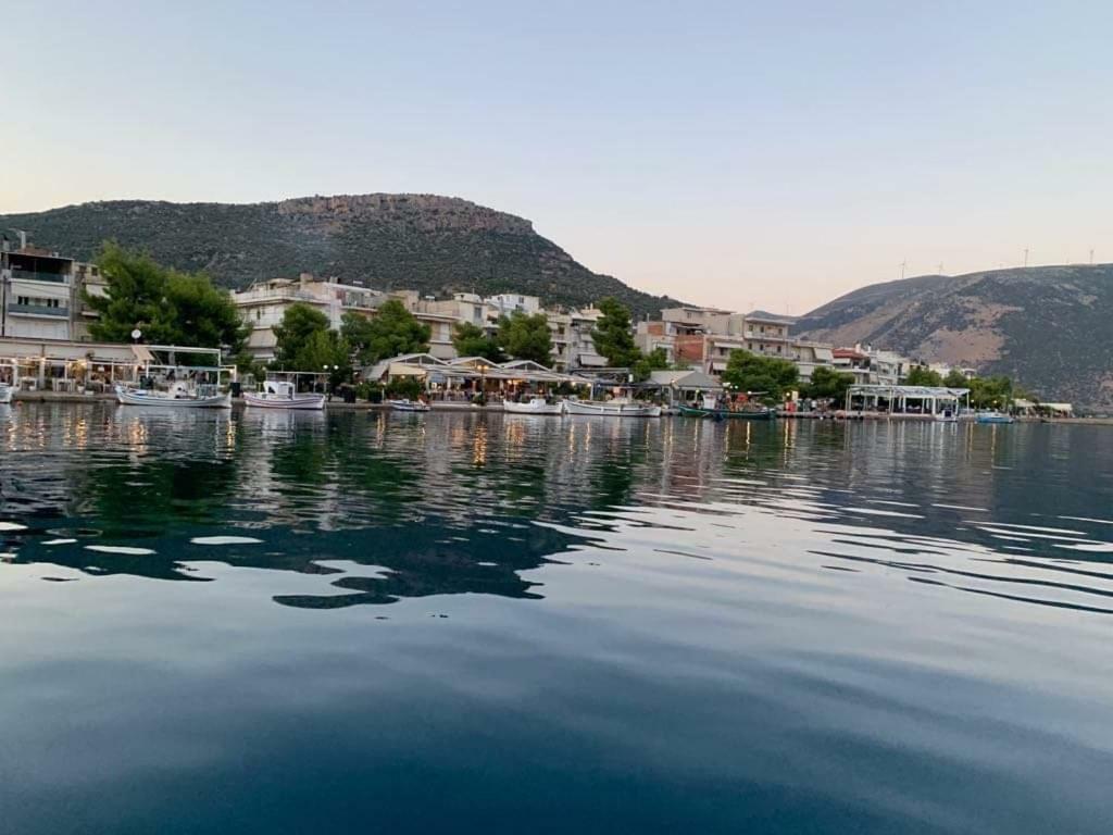 Porto Arimar Hotel Antikyra Eksteriør bilde